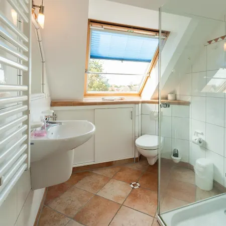 Strandrose 青斯特