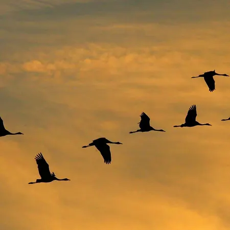 Strandrose Διαμέρισμα Zingst