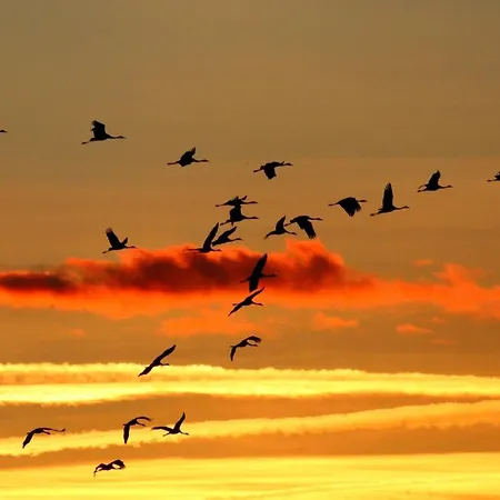 Διαμέρισμα Strandrose