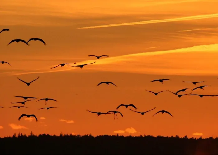 Appartamento Strandrose Zingst