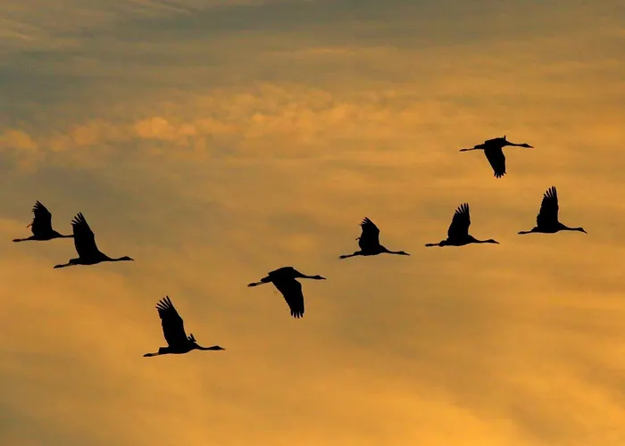 Strandrose Appartamento Zingst