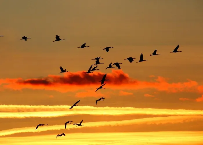 Appartamento Strandrose